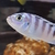 Wet Pets Solihull Have stunning Malawi Juvies for sale some rarer ones and a goo