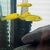 Wet Pets Solihull Have stunning Malawi Juvies for sale some rarer ones and a goo