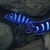 Wet Pets Solihull Have stunning Malawi Juvies for sale some rarer ones and a goo