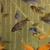 New list below for the 20 x 3-5 cm Mbuna for £65 or 10 of the fish listed below