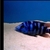 WET PETS SOLIHULL Haplochromis milomo Super VC-10 hap 3 - 5 cm