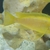 African Mbuna cichlids for sale