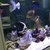 Large marine fish rock and skimmers