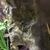 Looking to rehome my Tropical fish including a stunning L190 Royal Pleco