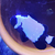 Black snowflake/phantom clownfish