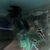 Wet Pets Solihull - For sale x 5 Cyphotilapia black widow frontosa 7 to 9 cm