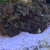 BREAKING DOWN FISH TANK 3 for £55