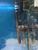 Marine fish tank with 1 fish and anemone