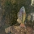 Malawi cichlids & Frontosa - SOLD