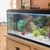 160L Aquarium with all accessories and more