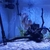 Discus and full aquarium set up