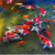 Koi, Sturgeon & Carp Wanted