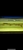 Super high back red tail golden arowana