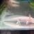 Leucitic Axolotl 7-10cm