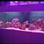 Closing down marine tank