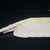 Golden Base Albino Pearl Stingray MALE