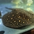 Stingray female