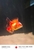 Rehome for 5 Oranda mini size