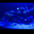 120L Marine Aquarium – Full Setup with Corals & Equipment