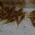 CW 010 gold lasers