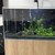 Complete Freshwater Setup - Aqua One AquaSys 395 Natural Nebraska Oak - Kessil -