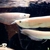 Albino Arowanas