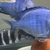 Big Dolphins for sale