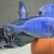 Big Dolphins for sale