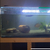 6ft fish tank for sale £160