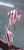 4 x XL Altum Angels