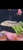 FOGO BASS