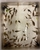 Group of Corydoras x 60