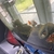 2 Goldfish available for free including tank and filter