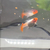 Guppy Fry for Sale
