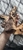 Bogwood new unused 3 pieces